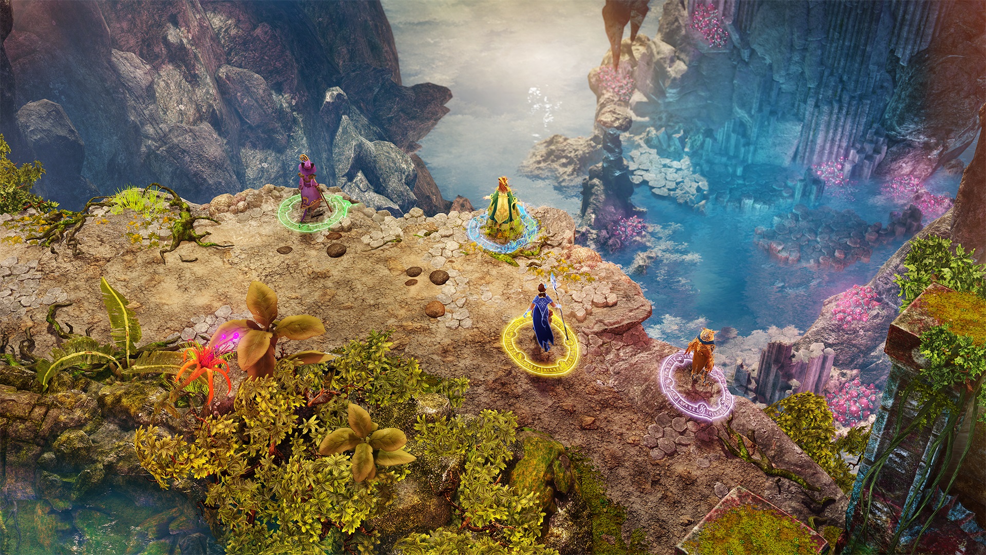 Nine Parchments Co-Op