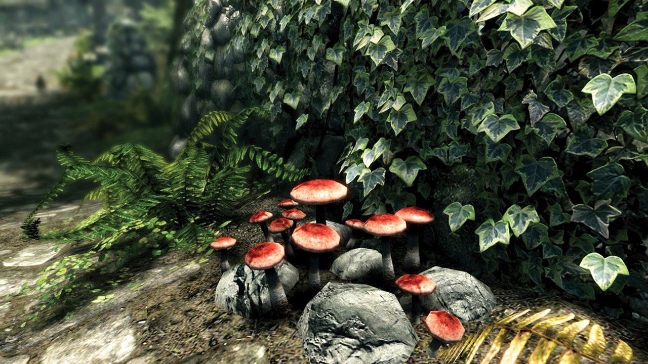 skyrim za darmo skyrim za darmo