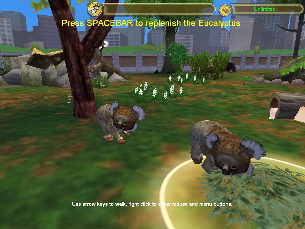 zoo tycoon 2