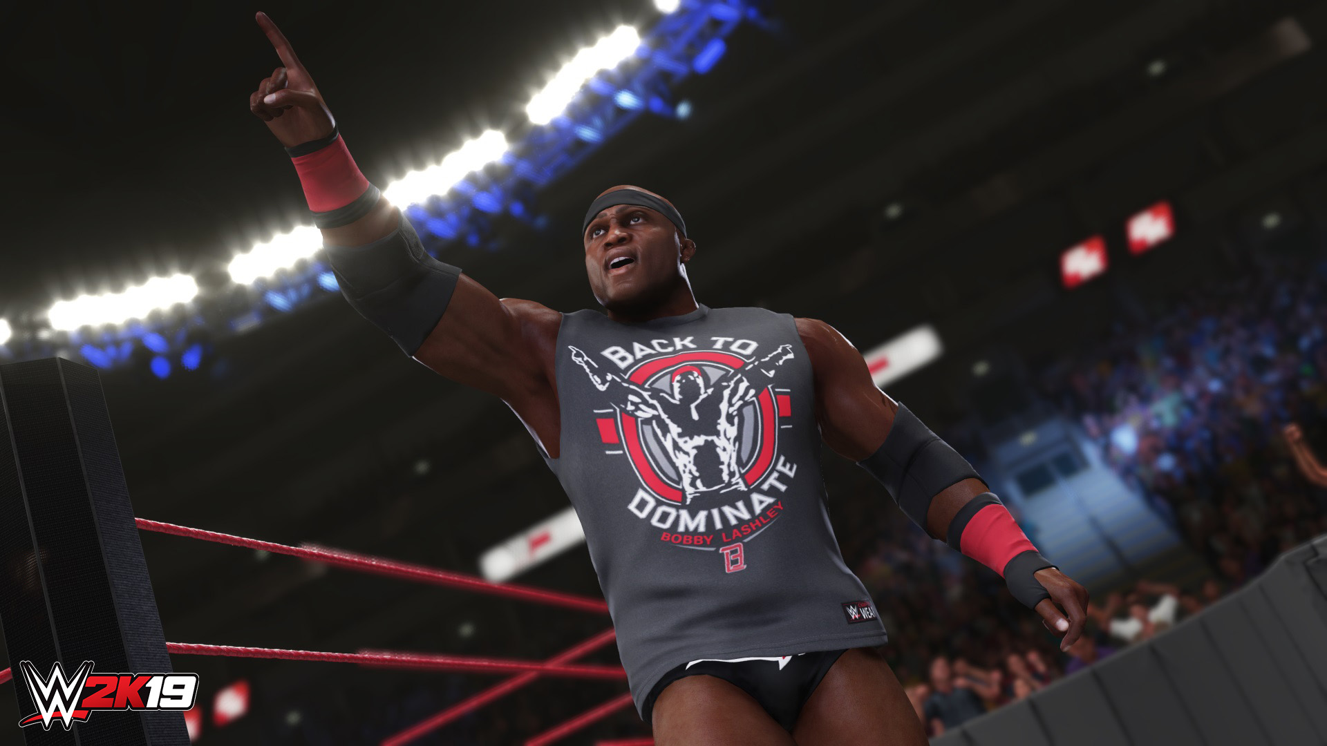 WWE 2K19