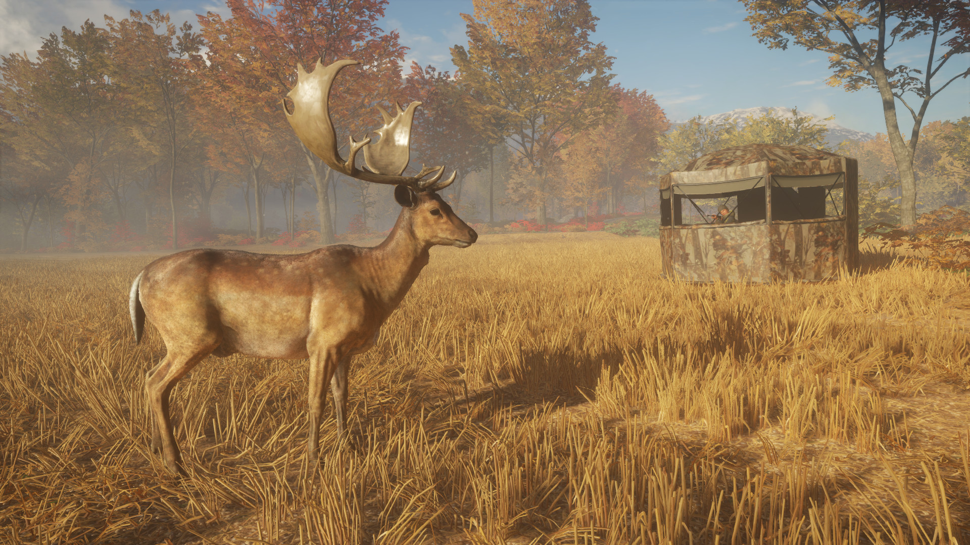 theHunter: Call of the Wild