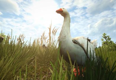 Wiedźmin 3 – Do tawerny weszła gęś i…